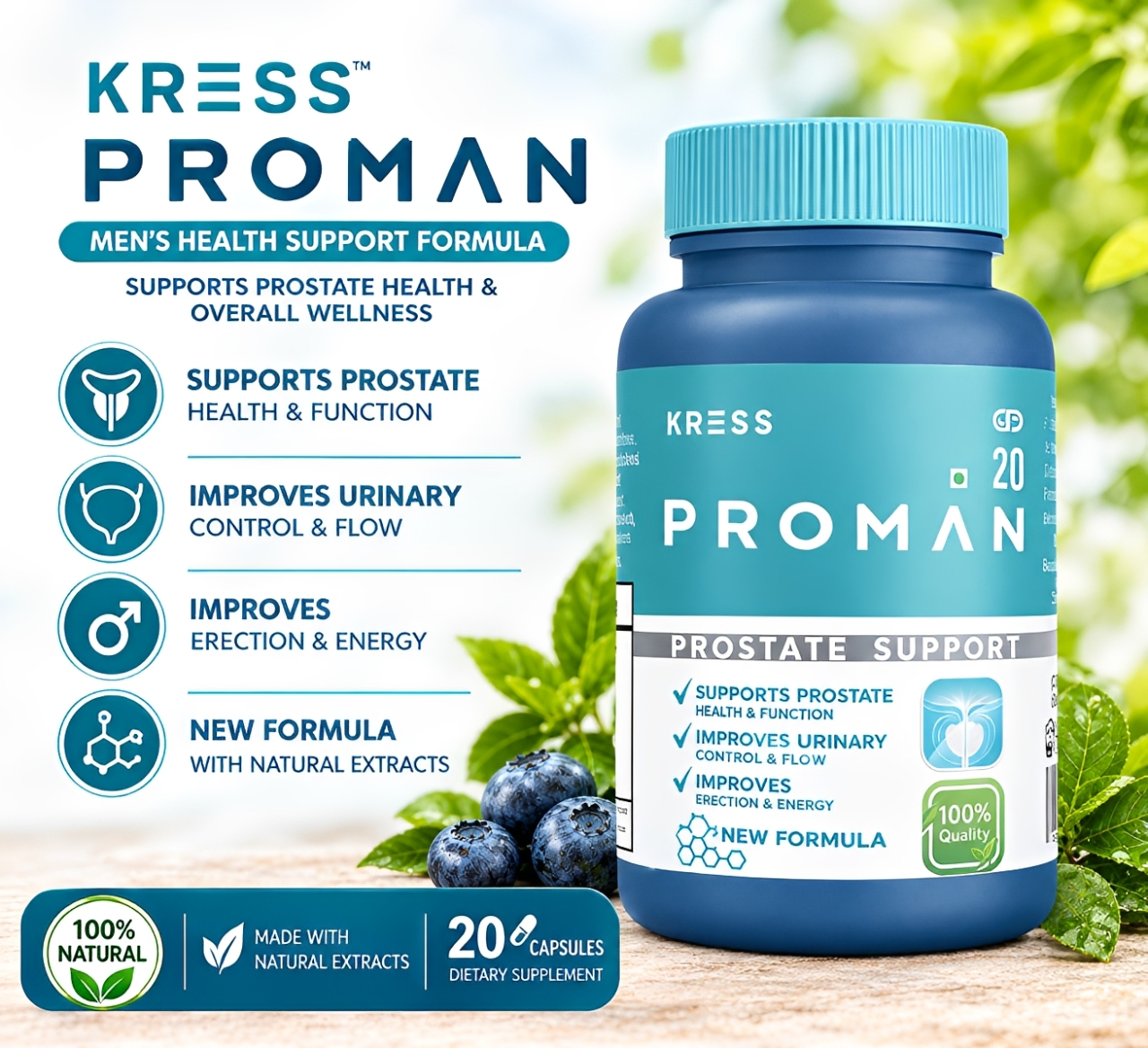 Proman India